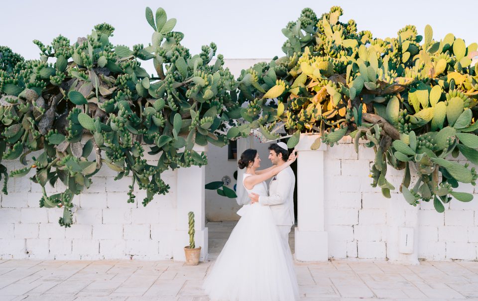 masseria potenti marco colonna