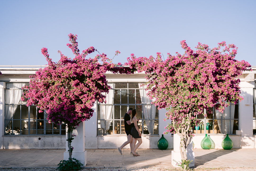 masseria potenti welcome dinner