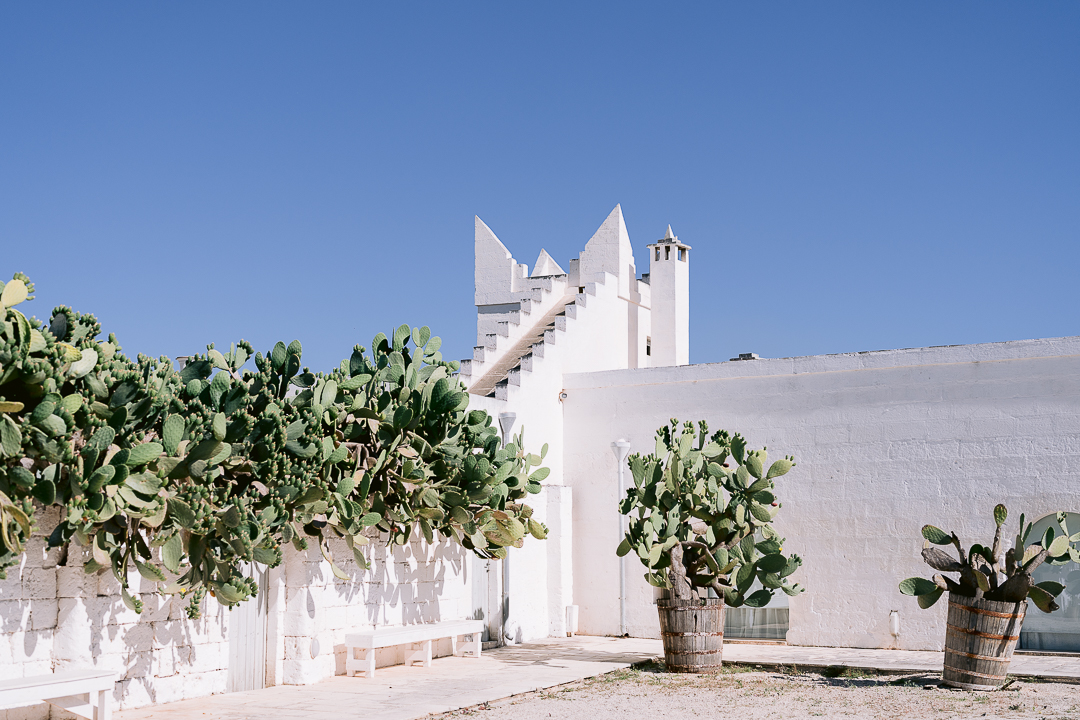 masseria potenti fichi d'india