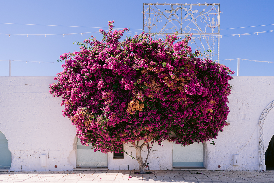 masseria potenti matrimonio puglia