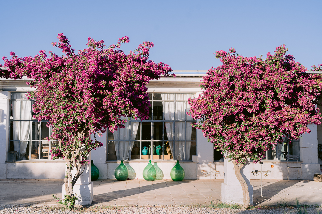 masseria potenti wedding flowers