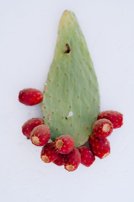 masseria potenti prickly pear